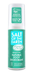 Спрей-дезодорант для ног Salt of the Earth Foot Spray, 100 мл цена и информация | Дезодоранты | kaup24.ee