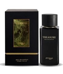 Парфюмированная вода Zimaya Men's Treasure EDP для мужчин/женщин, 100 мл цена и информация | Мужские духи | kaup24.ee