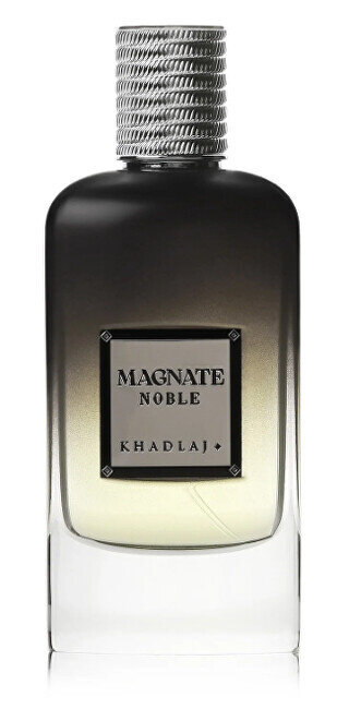 Parfüümvesi Khadlaj Magnate Noble EDP meestele, 100 ml hind ja info | Meeste parfüümid | kaup24.ee