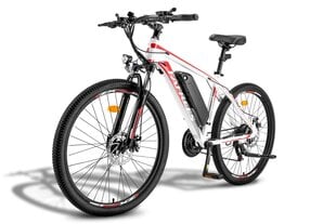 Электровелосипед Fafrees Hailong One, 26", белый, 250Вт, 13Ач цена и информация | Электровелосипеды | kaup24.ee