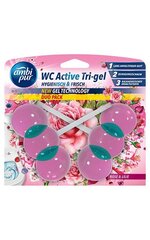 Tualettruum Ambi Pur WC Active Tri-gel, roos ja liilia, 2x45 g hind ja info | Puhastusvahendid | kaup24.ee