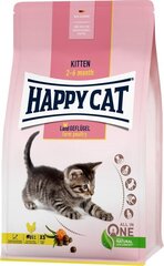 Happy Cat Kitten Geflügel, 4 kg hind ja info | Kuivtoit kassidele | kaup24.ee