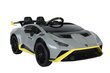Ühekohaline laste elektriauto Lamborghini, hall hind ja info | Laste elektriautod | kaup24.ee