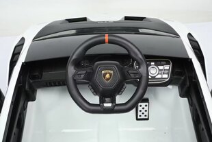 Ühekohaline laste elektriauto Lamborghini, hall hind ja info | Laste elektriautod | kaup24.ee