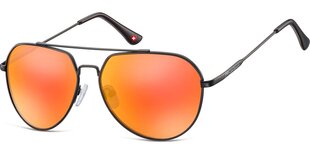 Солнцезащитные очки для мужчин Montana MS90A цена и информация | Солнцезащитные очки для мужчин | kaup24.ee