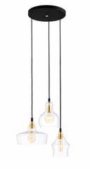Kaspa подвесной светильник Longis цена и информация | Потолочный светильник, 38 x 38 x 24 см | kaup24.ee