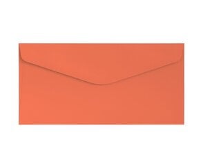 Декоративные конверты DL, 10 штук, оранжевый цвет цена и информация | Смягчает воду и защищает Вашу посудомоечную машину от извести. | kaup24.ee