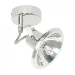 Настенный светильник Candellux 5591-28075 цена и информация | Настенные светильники | kaup24.ee