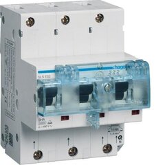 Селективный автоматический выключатель на перегрузку по току 3P, E, 32A HTN332E цена и информация | Выключатели, розетки | kaup24.ee