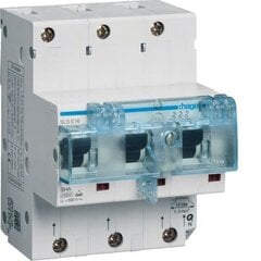 Селективный автоматический выключатель 3P, Cs, 63A HTN363C цена и информация | Выключатели, розетки | kaup24.ee