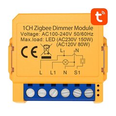 Умный выключатель розетки ZigBee Avatto ZDMS16-2 TUYA цена и информация | Сенсорика | kaup24.ee