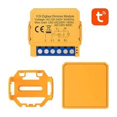 Nutikas pistikupesa lüliti ZigBee Avatto ZDMS16-2 TUYA hind ja info | Taimerid, termostaadid | kaup24.ee