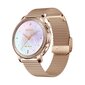 Colmi V65 Gold цена и информация | Nutikellad (smartwatch) | kaup24.ee