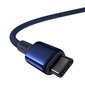 Kaabel USB-C to USB-C Baseus Tungsten 1m цена и информация | Mobiiltelefonide kaablid | kaup24.ee