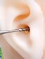 Kõrvade puhastamise tööriistade komplekt, 6 tk цена и информация | Näopuhastus- ja massaažiseadmed | kaup24.ee
