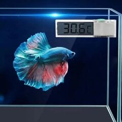Akvaariumitermomeeter цена и информация | Аквариумы и оборудование | kaup24.ee