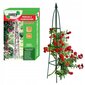 Taimede tugi GarderLine, 200 cm цена и информация | Vaasid, alused, redelid lilledele | kaup24.ee
