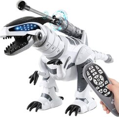 Робот-динозавр для детей Harmony Hill's AFF73 цена и информация | Развивающий мелкую моторику - кинетический песок KeyCraft NV215 (80 г) детям от 3+ лет, бежевый | kaup24.ee