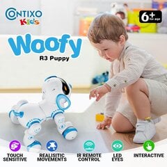 Робот-собака для детей Fundog AFF74 цена и информация | Развивающий мелкую моторику - кинетический песок KeyCraft NV215 (80 г) детям от 3+ лет, бежевый | kaup24.ee