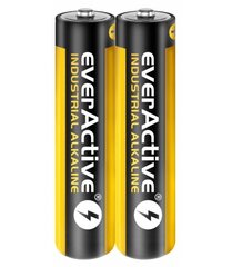 Батарейки ААА EverActive Industrial Alkaline LR03, 2 шт. цена и информация | everActive Сантехника, ремонт, вентиляция | kaup24.ee