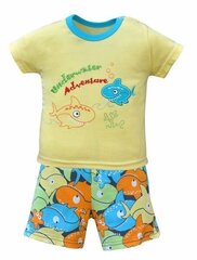 Komplekt beebidele TM22724, erinevad värvid цена и информация | Комплекты одежды для новорожденных | kaup24.ee