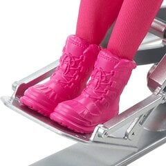 Nukk Barbie talispordi paraolümplane hind ja info | Tüdrukute mänguasjad | kaup24.ee