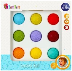 Sensoorne beebimänguasi Bambam hind ja info | Imikute mänguasjad | kaup24.ee