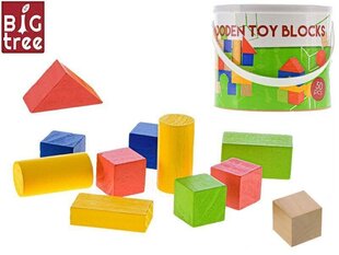 Puitklotside komplekt, 50 tk hind ja info | Imikute mänguasjad | kaup24.ee