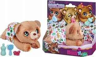 Pehme vastsündinud karu koos tarvikutega Hasbro, pruun, 5tk hind ja info | Pehmed mänguasjad | kaup24.ee