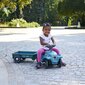 Tõukeauto haagisega, BIG Bobby Car Classic Eco 2.0 Rider цена и информация | Imikute mänguasjad | kaup24.ee