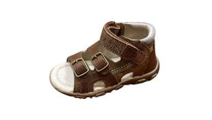 Sandaalid poistele D.D.Step, pruun hind ja info | Laste sandaalid | kaup24.ee