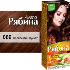 Kreemjas juuksevärv Acme Color Rebina Avena 066 kuldne muskaatpähkel цена и информация | Краска для волос | kaup24.ee