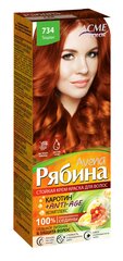 Kreemjas juuksevärv ACME Color RJABINA Avena 734 tizian цена и информация | Краска для волос | kaup24.ee