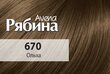 Kreemjas juuksevärv ACME Color RJABINA Avena 670 lepp цена и информация | Juuksevärvid | kaup24.ee