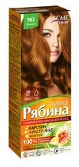 Kreemjas juuksevärv ACME Color RJABINA Avena 670 lepp цена и информация | Краска для волос | kaup24.ee