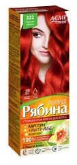 Kreemjas juuksevärv Acme Color Rjabina Avena 322 punane leeder hind ja info | Juuksevärvid | kaup24.ee