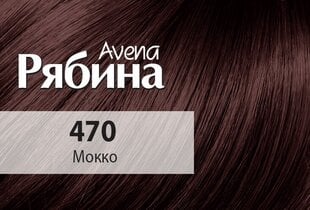 Kreemjas juuksevärv ACME Color RJABINA Avena 470 moka цена и информация | Краска для волос | kaup24.ee