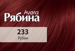 Kreemjas juuksevärv Acme Color Rjabina Avena 233 rubiin цена и информация | Краска для волос | kaup24.ee