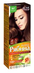 Kreemjas juuksevärv Acme Color Rjabina Avena 067 cappuccino цена и информация | Краска для волос | kaup24.ee