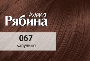 Kreemjas juuksevärv Acme Color Rjabina Avena 067 cappuccino цена и информация | Краска для волос | kaup24.ee