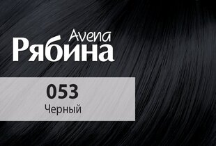 Kreemjas juuksevärv Acme Color Rjabina Avena 053 must цена и информация | Краска для волос | kaup24.ee