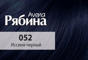 Kreemjas juuksevärv ACME Color RJABINA Avena 052 sinine must цена и информация | Краска для волос | kaup24.ee