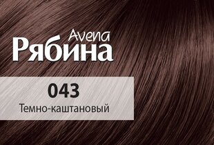 Kreemjas juuksevärv Acme Color Rjabina Avena 043 kastanipruun hind ja info | Juuksevärvid | kaup24.ee
