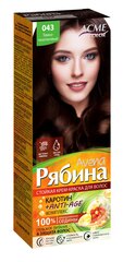 Kreemjas juuksevärv Acme Color Rjabina Avena 043 kastanipruun hind ja info | Juuksevärvid | kaup24.ee