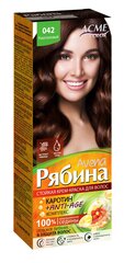 Kreemjas juuksevärv Acme Color Rjabina Avena 042 kastanipruun цена и информация | Краска для волос | kaup24.ee