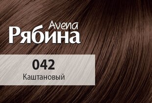 Kreemjas juuksevärv Acme Color Rjabina Avena 042 kastanipruun цена и информация | Краска для волос | kaup24.ee