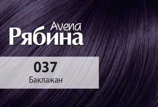 Kreemjas juuksevärv Acme Color Rjabina Avena 037 baklažaan цена и информация | Краска для волос | kaup24.ee