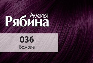 Kreemjas juuksevärv ACME Color RJABINA Avena 036 beaujolais цена и информация | Краска для волос | kaup24.ee