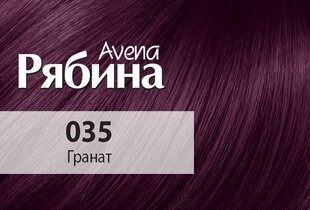 Kreemjas juuksevärv Krēmveida matu krāsa Acme Color Rebina Avena Nr.036 božolē Avena 035 granaatõun цена и информация | Краска для волос | kaup24.ee