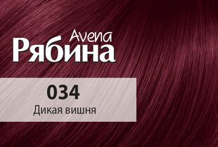 Kreemjas juuksevärv Acme Color Rebina Avena 034 metskirss цена и информация | Краска для волос | kaup24.ee